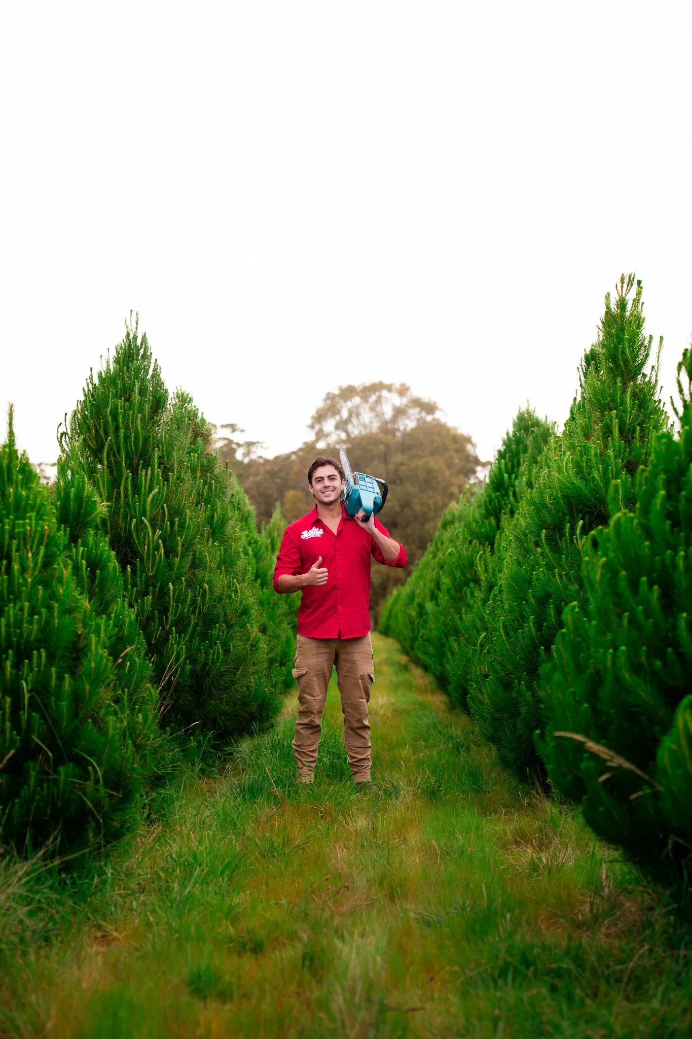Jack Doyle with a chainsaw on his shoulder in the rows of Christmas trees on the farm