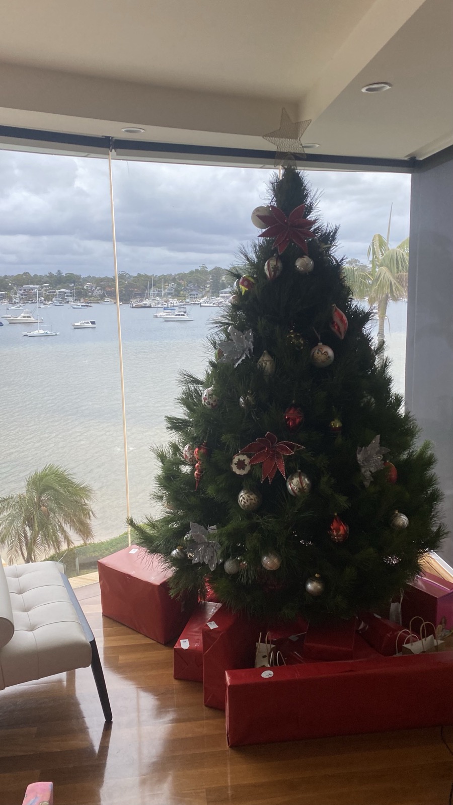A decorated real Christmas tree by a harbour window