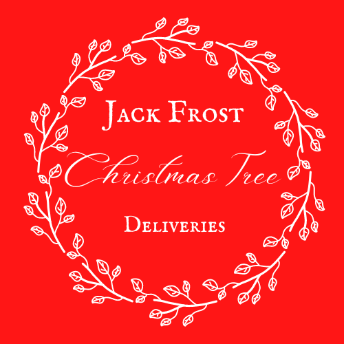 Jack Frost Christmas Trees